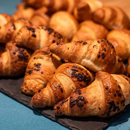 מלון Hotel Petrcane 4*