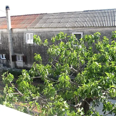 Hotel Petrcane פטרצ'אנה