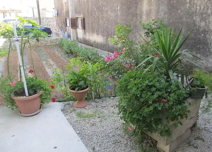 Отель Hotel Petrcane 4*