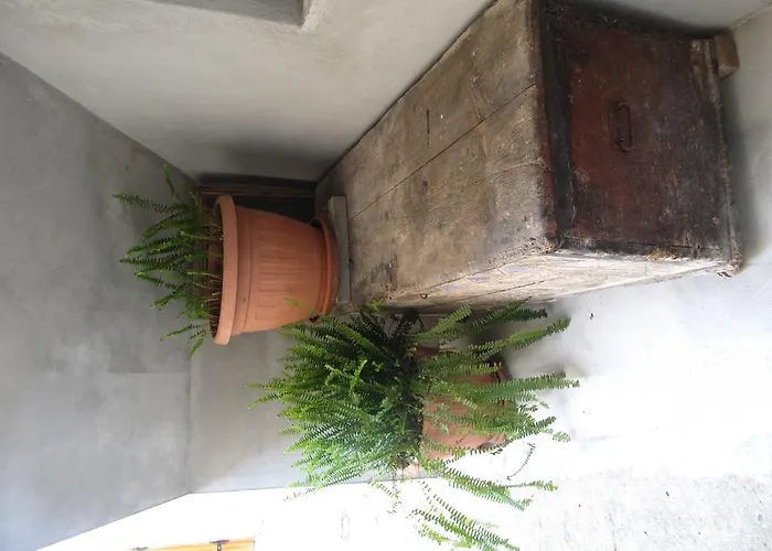 페트르차네 돈제페트레케인