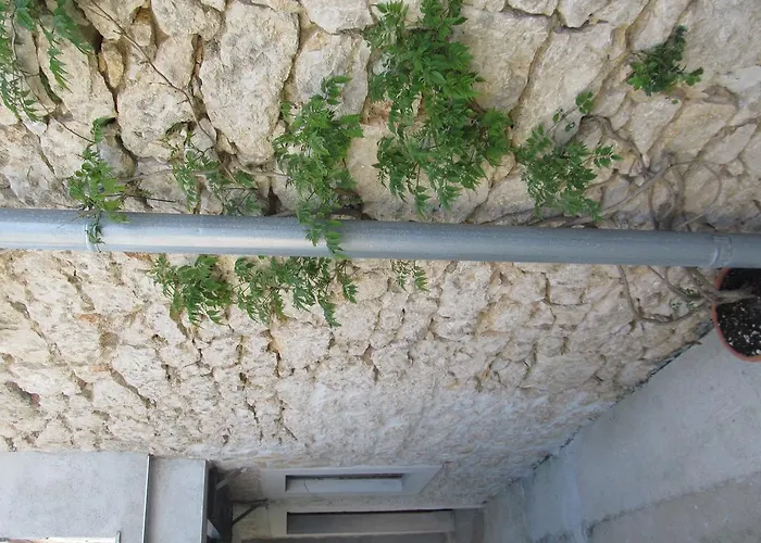 페트르차네 돈제페트레케인