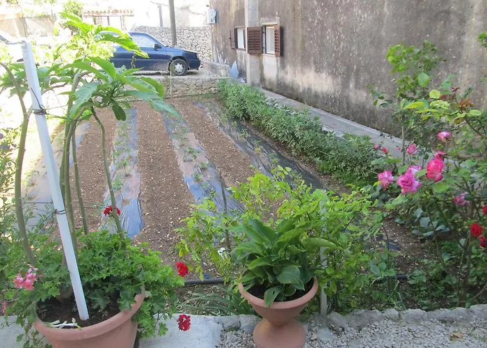 Отель Hotel Petrcane