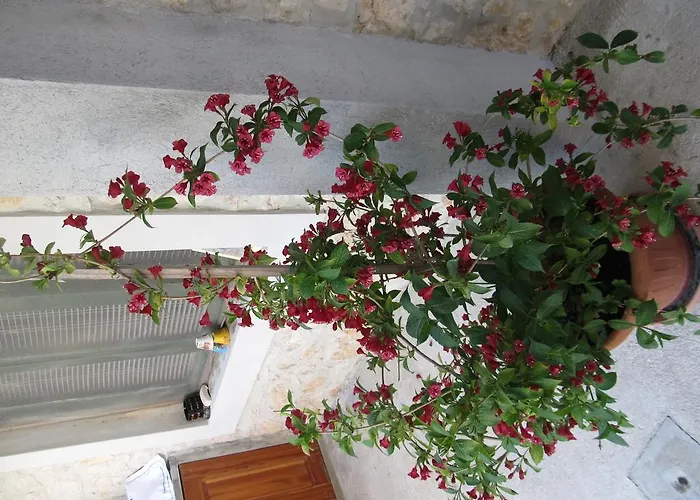 호텔 페트르차네