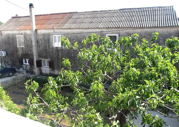 Hotel Petrcane Петрчане