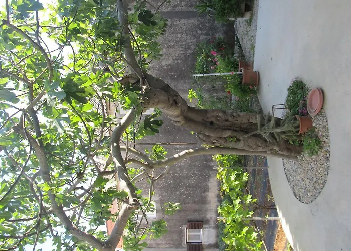 Hotel Petrcane Петрчане