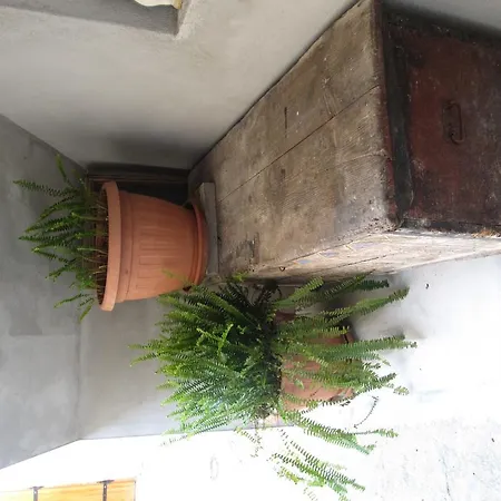 Hotel Petrčane Petrcane