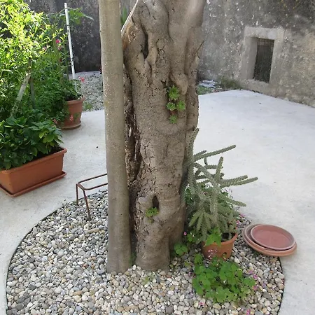 Hotel Hotel Petrcane Petrcane