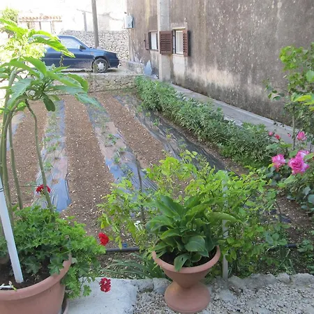 Hotel Hotel Petrcane