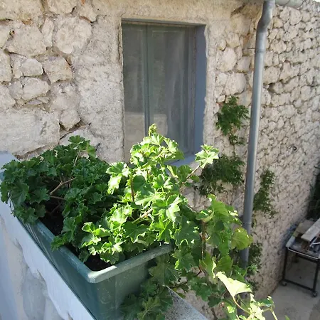 Hotel Hotel Petrcane