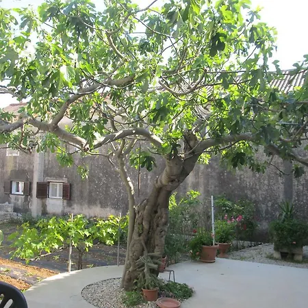 Hotel Petrcane Petrcane