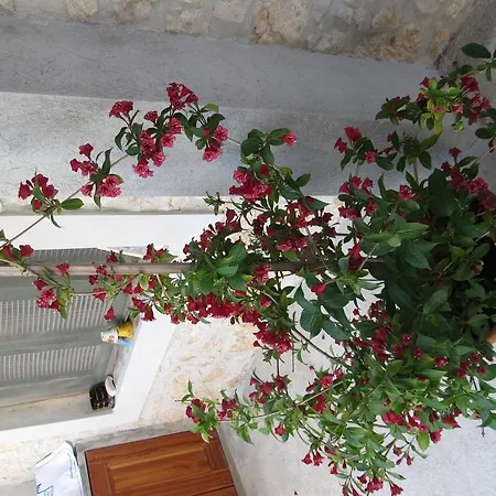 Hotel Hotel Petrcane