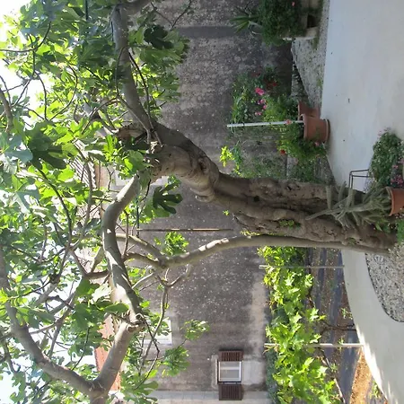 Hotel Petrčane Petrcane