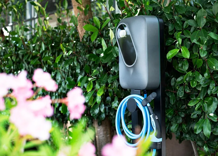 Hotel Petrcane Hotell 4*