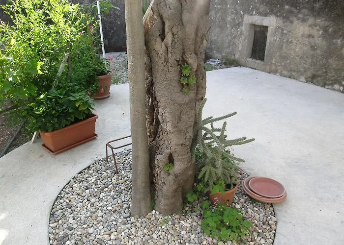 Hotell Hotel Petrcane Petrcane