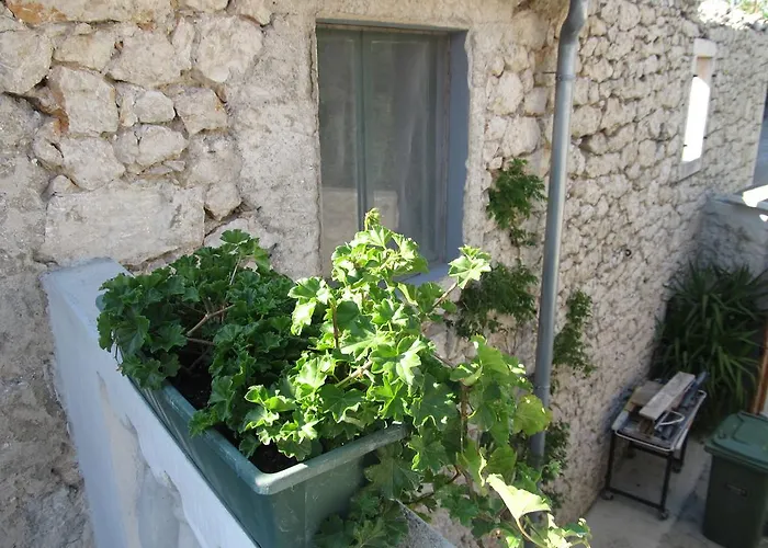 Hotell Hotel Petrcane