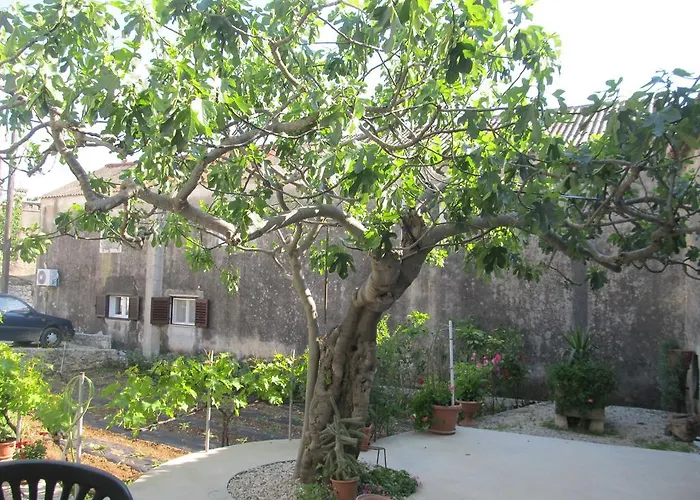 Hotel Petrcane Petrcane